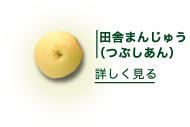 田舎まんじゅう
